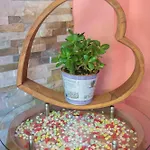 Hotel Boutique Asteria 3*