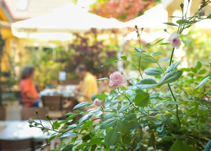 Boutique Asteria Любляна