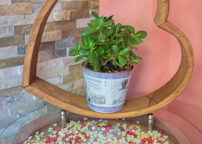 Отель Boutique Asteria 3*