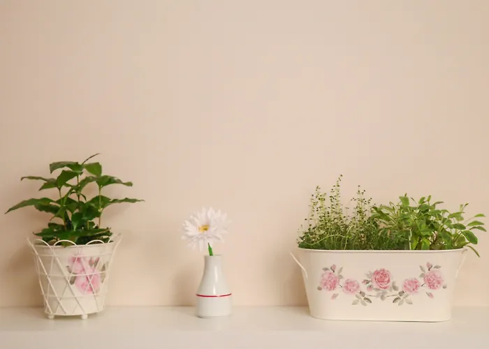 Boutique Asteria Отель Любляна