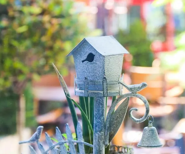 Отель Boutique Asteria 3*