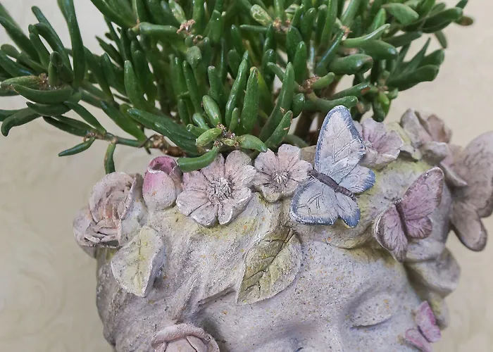 Boutique Asteria Отель 3*