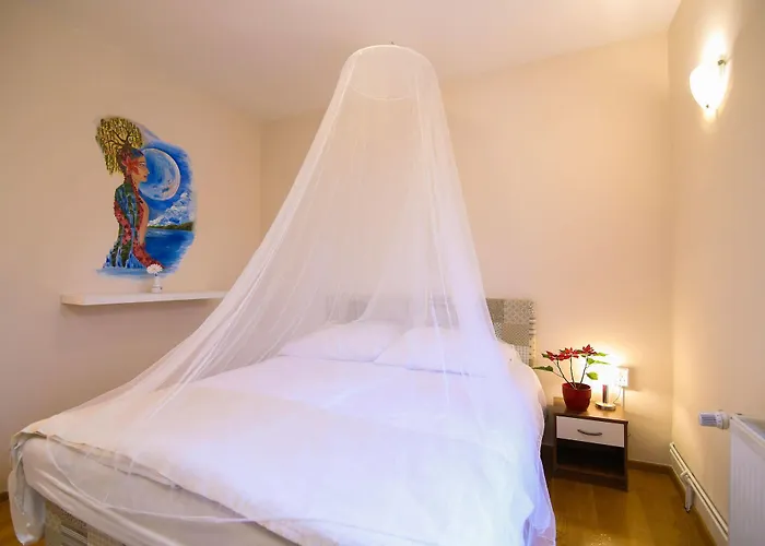 Отель Boutique Asteria