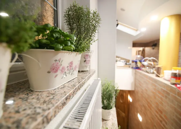 Отель Boutique Asteria 3*