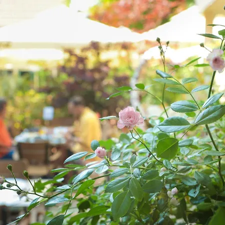 Boutique Asteria Ljubljana