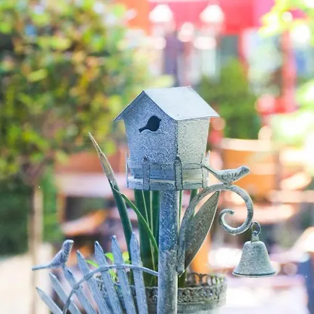 Hotel Boutique Asteria 3*